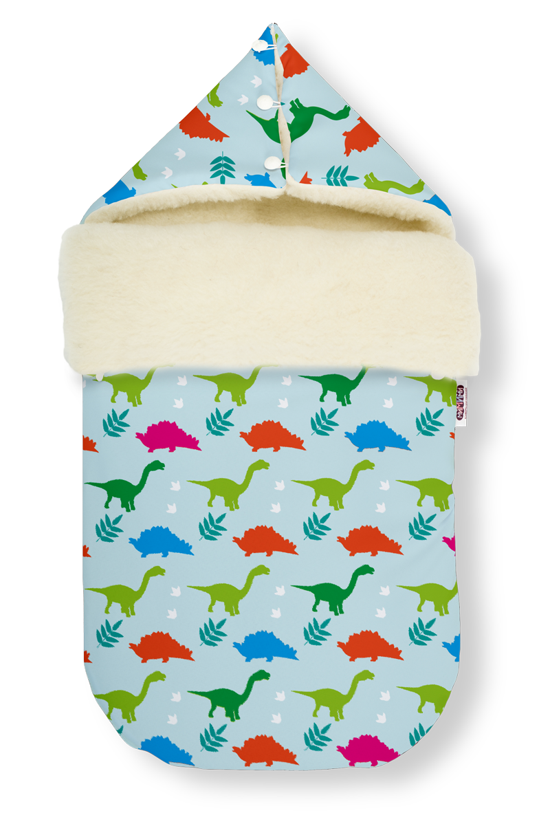 Утки на снегу. Гусь снежинки. Арктический гусь. Снежный гусь. Полярный гусь.